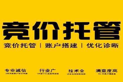 SEM竞价员经验谈：实战案例分析